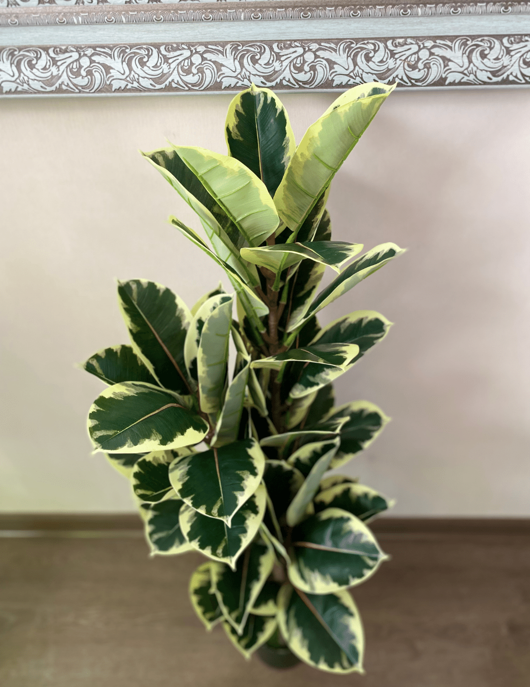 Planta Artificial Gomero Verde 100cm